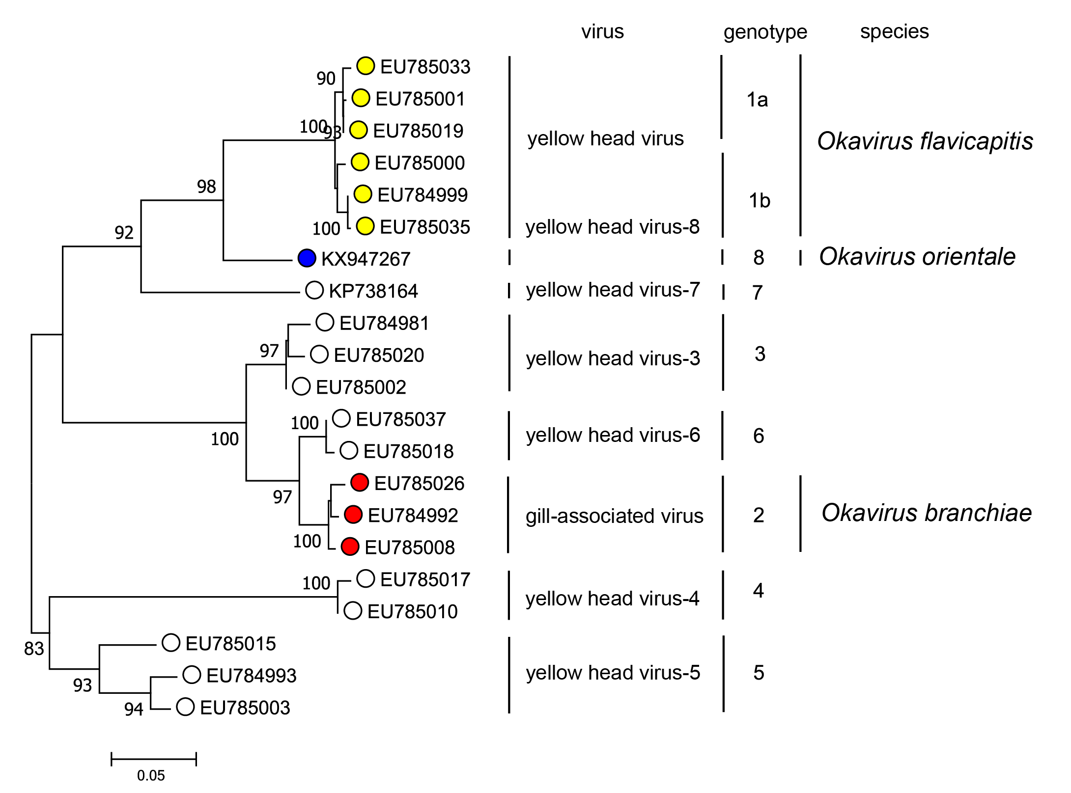 Roniviridae related viruses tree