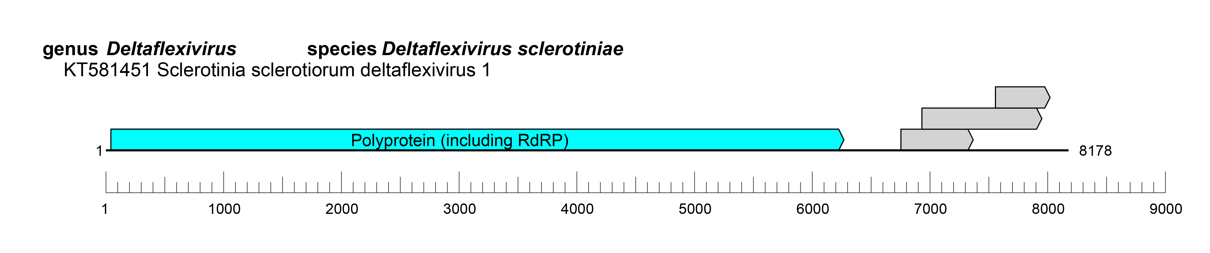 Deltaflexiviridae genome