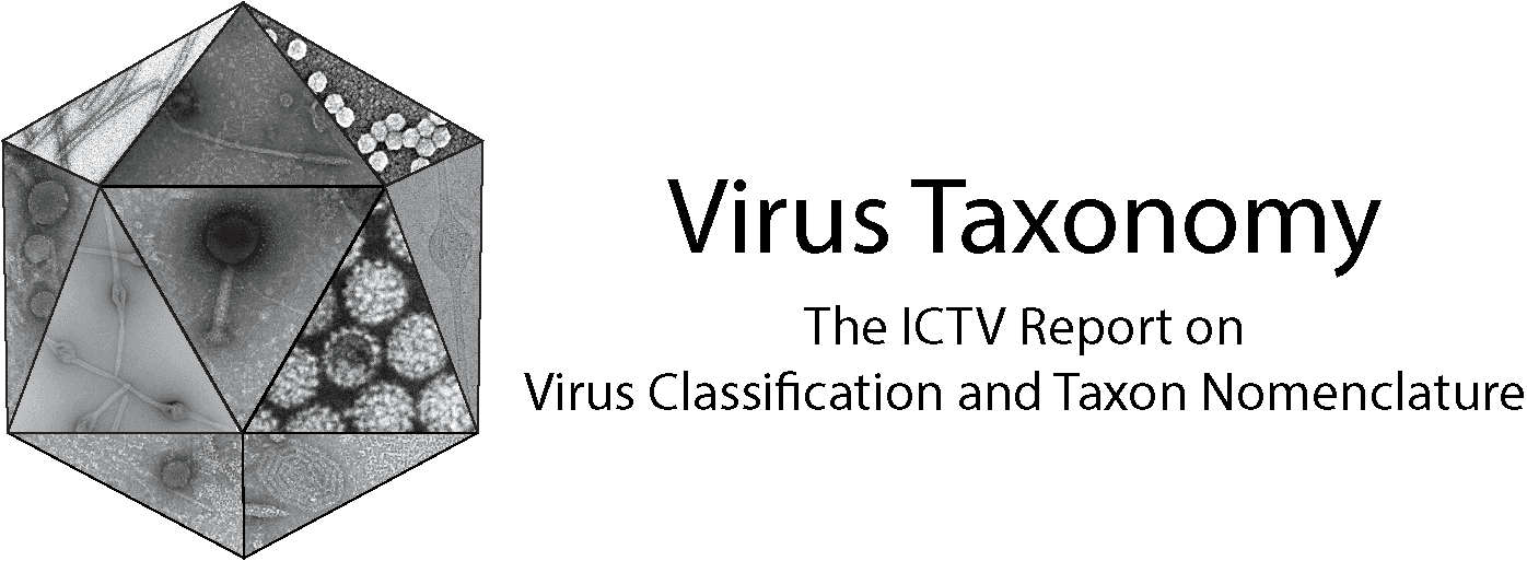ICTV Report