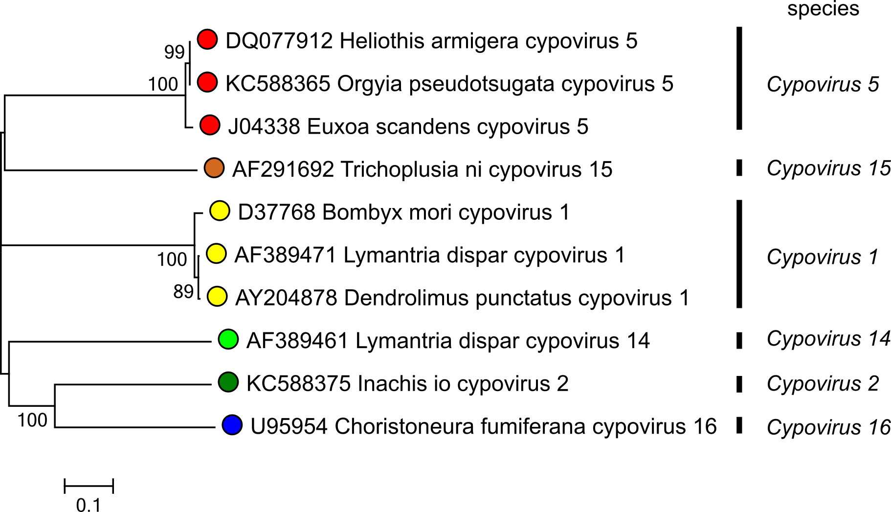 Figure 3. Cypovirus